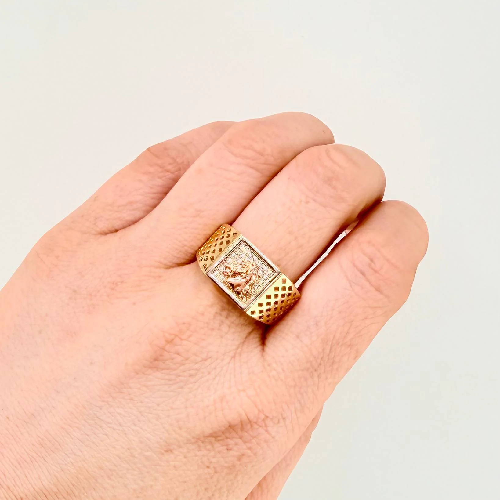 Anillo Caballo Cuadro Enmallado 6.3gr / T10 / Tres Oros 18K - Image 4